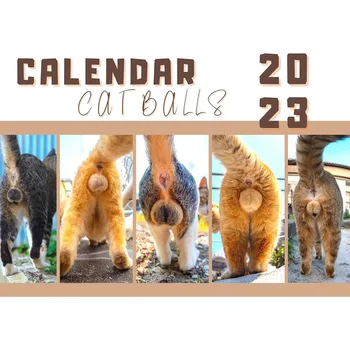 2023 Kaķi Buttholes Sienas Kalendārs Radošās Izārstēt Kaķi Muca Kalendāra Plānošana, Organizēšana, Ikdienas Mēneša Kalendāru, Mājas Birojam