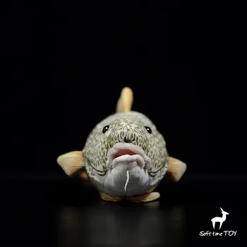 dāvanu modeli zivju Klusā okeāna menca